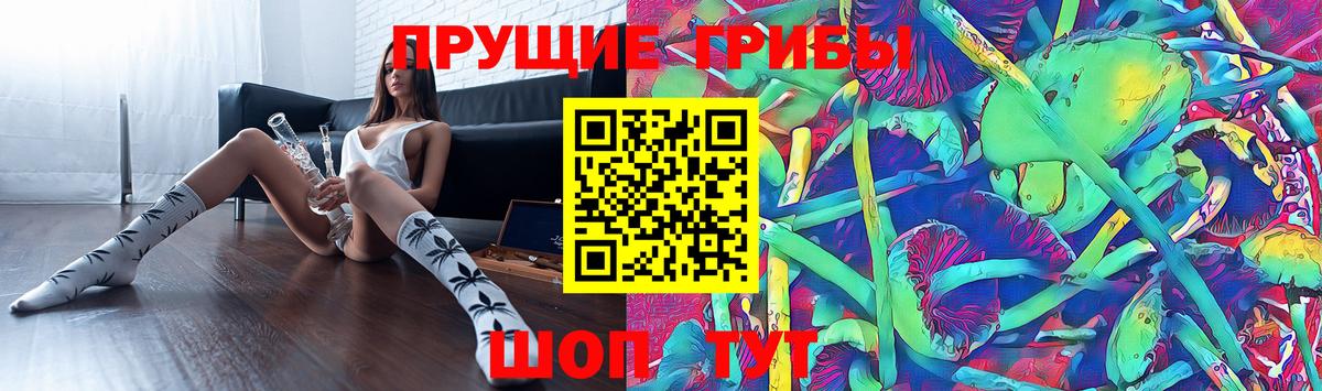купить наркотик  Вход с VPN  Октябрьский  Галлюциногенные грибы GOLDEN TEACHER 