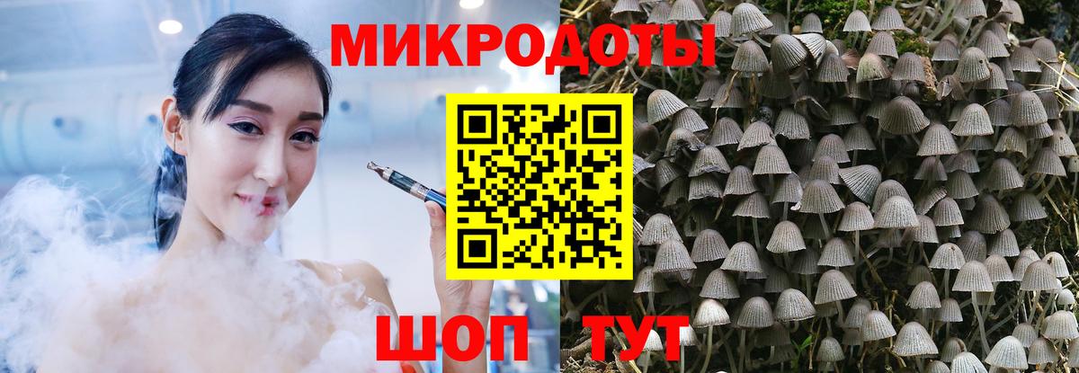 Псилоцибиновые грибы прущие грибы Октябрьский